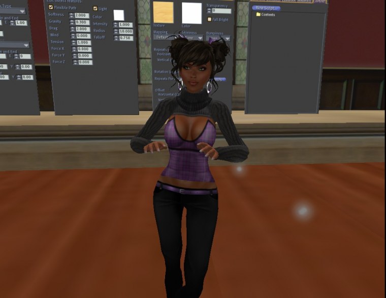 ﻿second life november