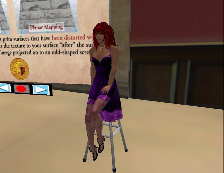 ﻿second life january