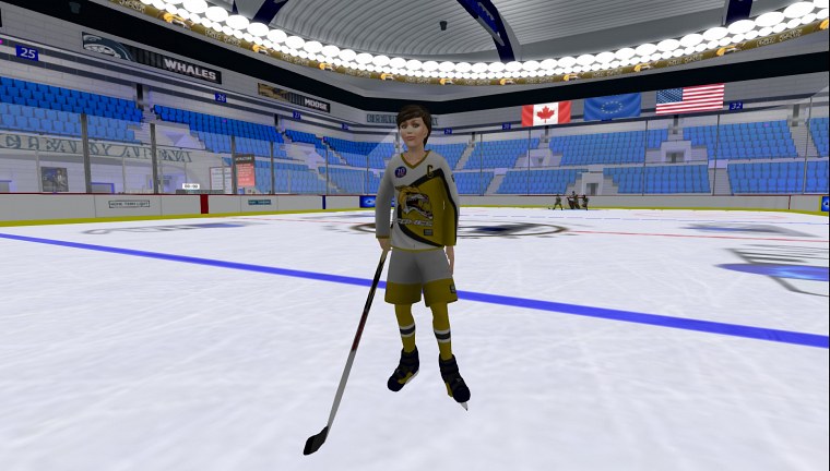 ice hockey match second life february