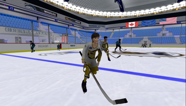 ice hockey match second life february
