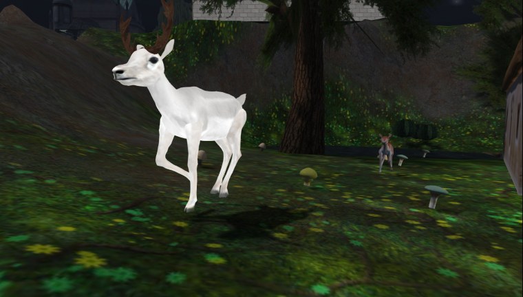 caledon brigadoon second life february