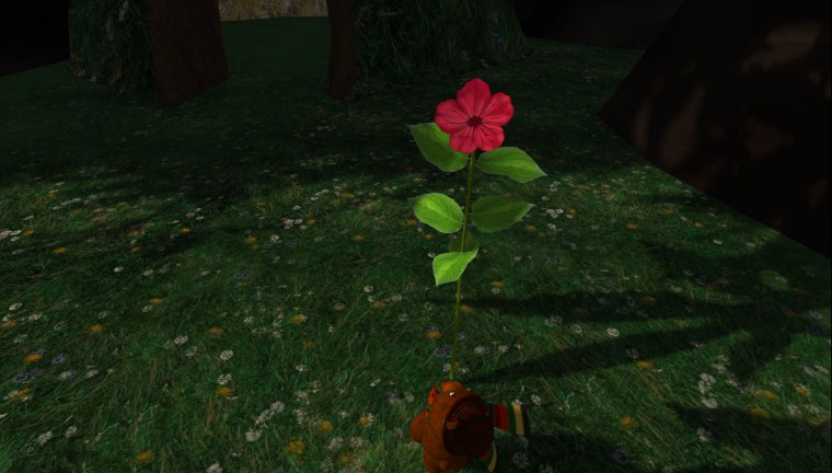 flower raglan shire second life may