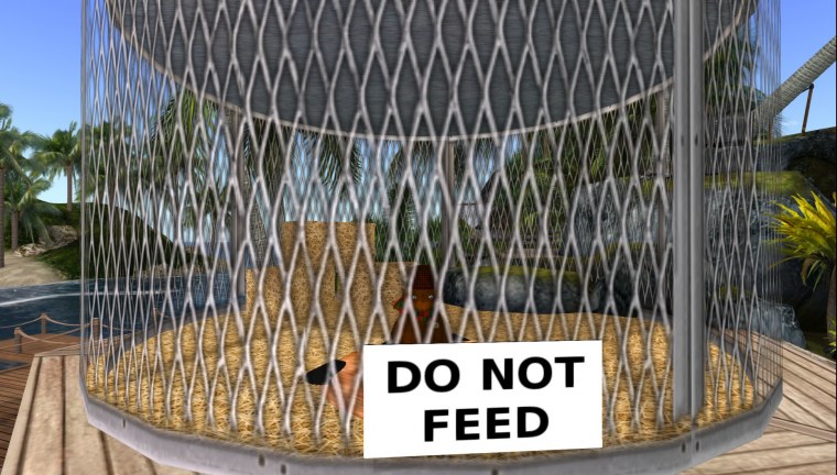 rock prog anj pulse evergreen second life july