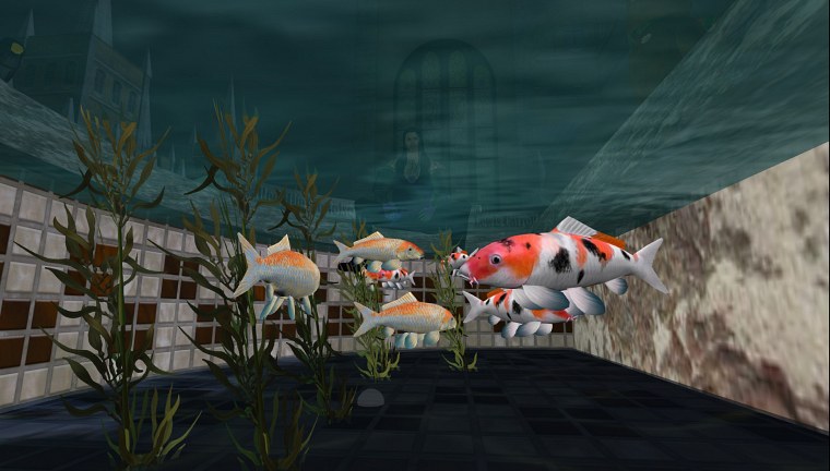 vichchu hermit pond caledon oxbridge second life may