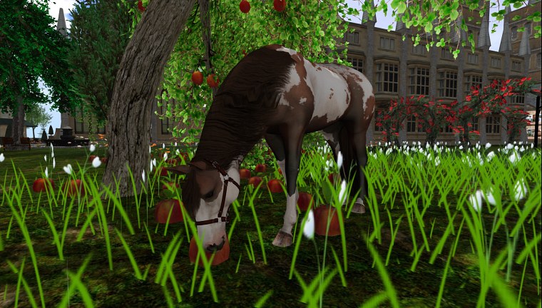 cherokee second life july