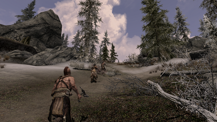 elder scrolls skyrim