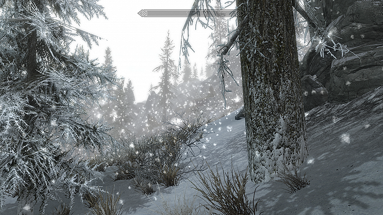 elder scrolls skyrim