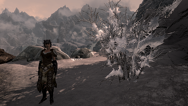 elder scrolls skyrim