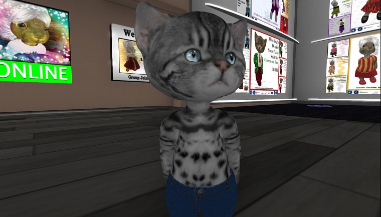 wyld shire ocean corner landing simyit second life september