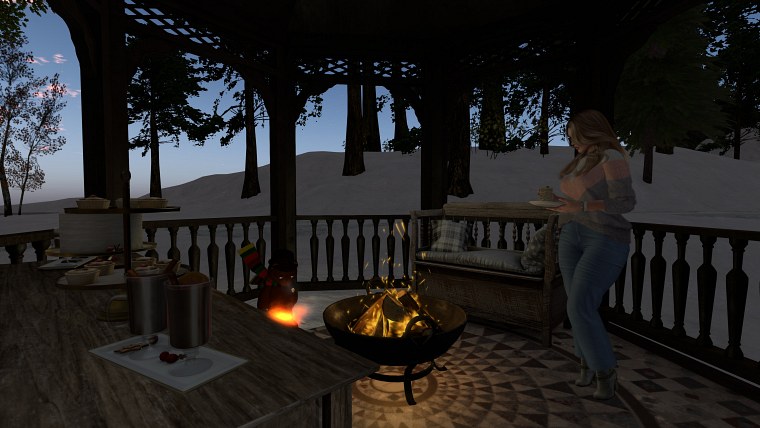 friedsee der confederation democratic simulators