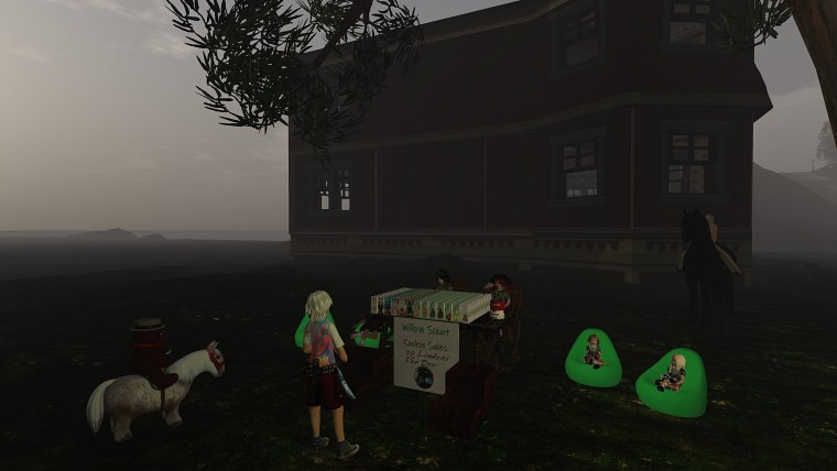 willow scouts cookie sale red brick house caledon tamrannoch second life august