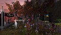 Second Life - September 2026